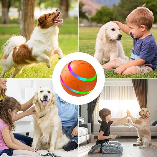 Mingea Năzdrăvană pentru Căței  și Pisici